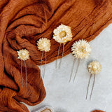 Maytrends Boho Dried Flower Bride Hair Pins Wedding Decoration Pins Autumn Rust Pink Yellow Dried Straw Flower  Hair Pins