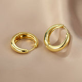 Gold/Silver Color Chunky Hoop Earrings for Women Punk Ear Jewelry New Wholesale