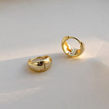 Gold/Silver Color Chunky Hoop Earrings for Women Punk Ear Jewelry New Wholesale